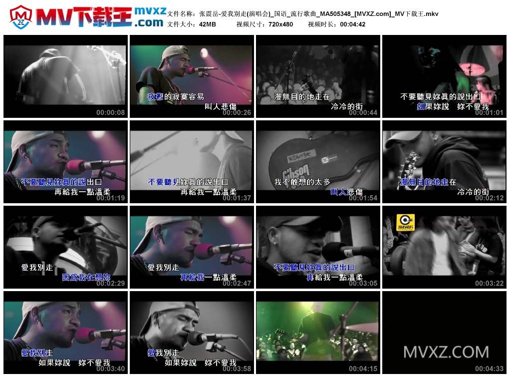 张震岳-爱我别走(演唱会)_国语_流行歌曲_MA505348